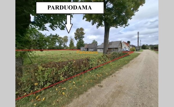 NAMŲ VALDOS SKLYPAS SU JAME ESANČIAIS SENAIS STATINIAIS TRYŠKIŲ MIESTELYJE, TELŠIŲ RAJONE